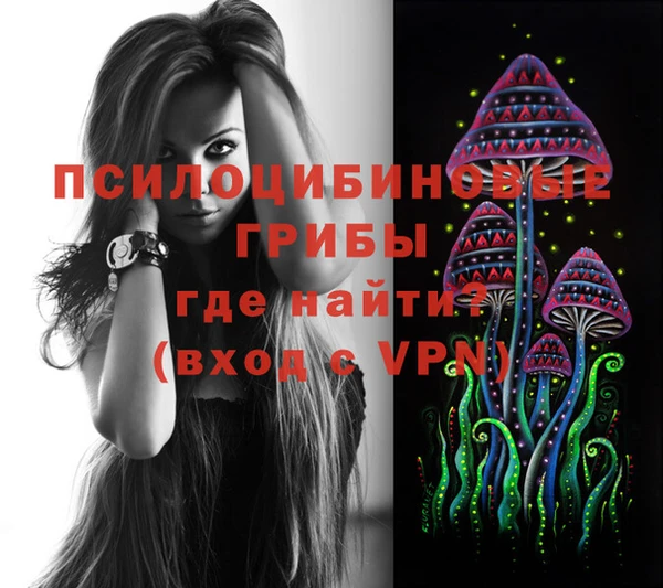 стафф Елабуга