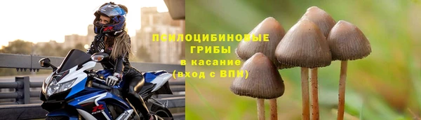 стафф Елабуга