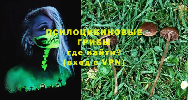 ALPHA-PVP Елизово